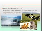 Сельское хозяйство: 10 сельскохозяйственных предприятий и 16 фермерских хозяйств.