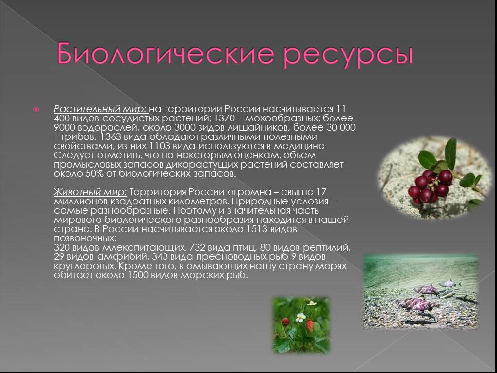 Природно биологического происхождения. Растительные природные ресурсы. Биологические ресурсы России. Растительные биологические ресурсы.