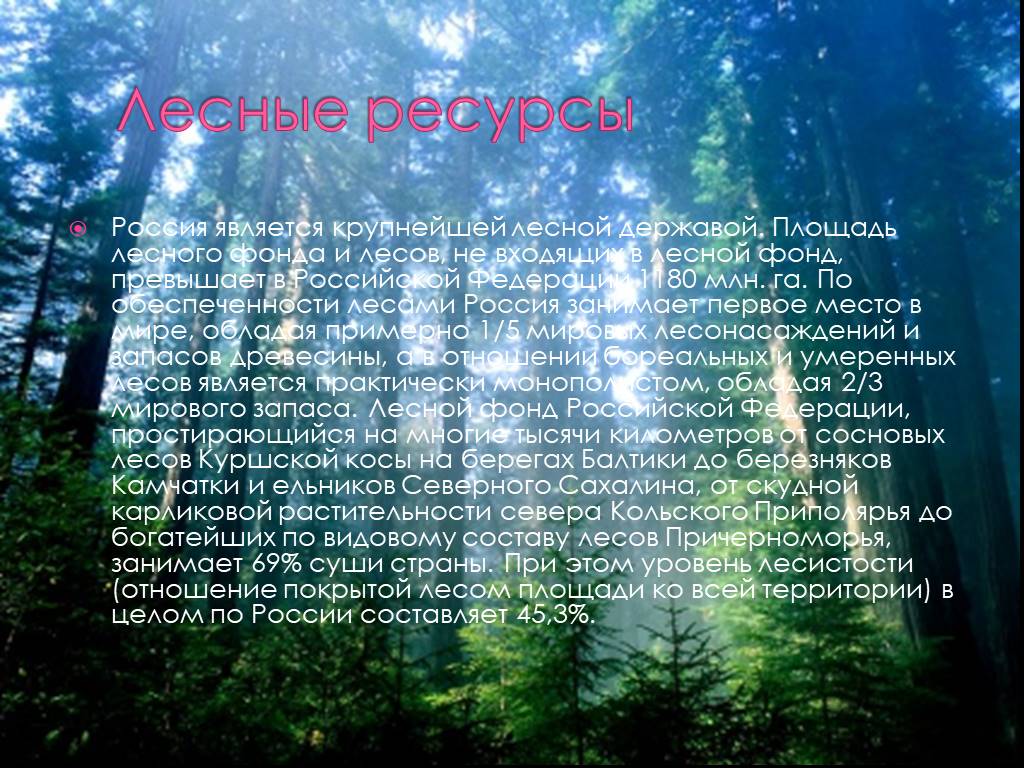 Какими лесными ресурсами богата россия