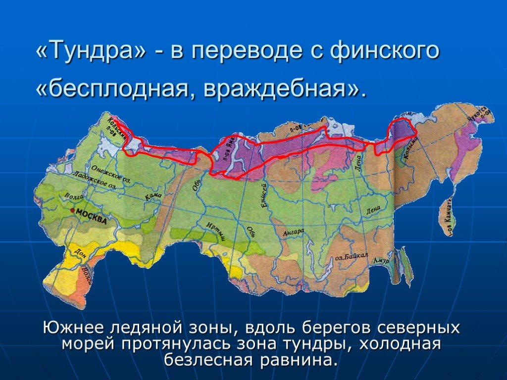Какая природная зона за полярным кругом. Тундра местонахождение природной зоны. Тундра на карте. Где находится тундра на карте. Тундра на карте России.