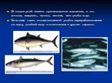25 видов рыб имеют промысловое значение, в т.ч. анчоус, макрель, тунцы, мачете, меч-рыба и др. Большая часть вылавливаемой рыбы перерабатывается на муку, рыбий жир и вывозится в другие страны.