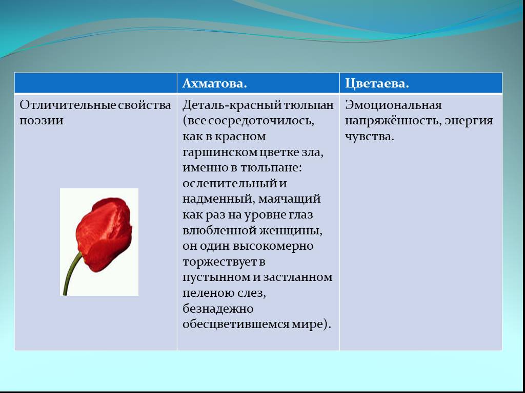 Тюльпан марина цветаева фото и описание