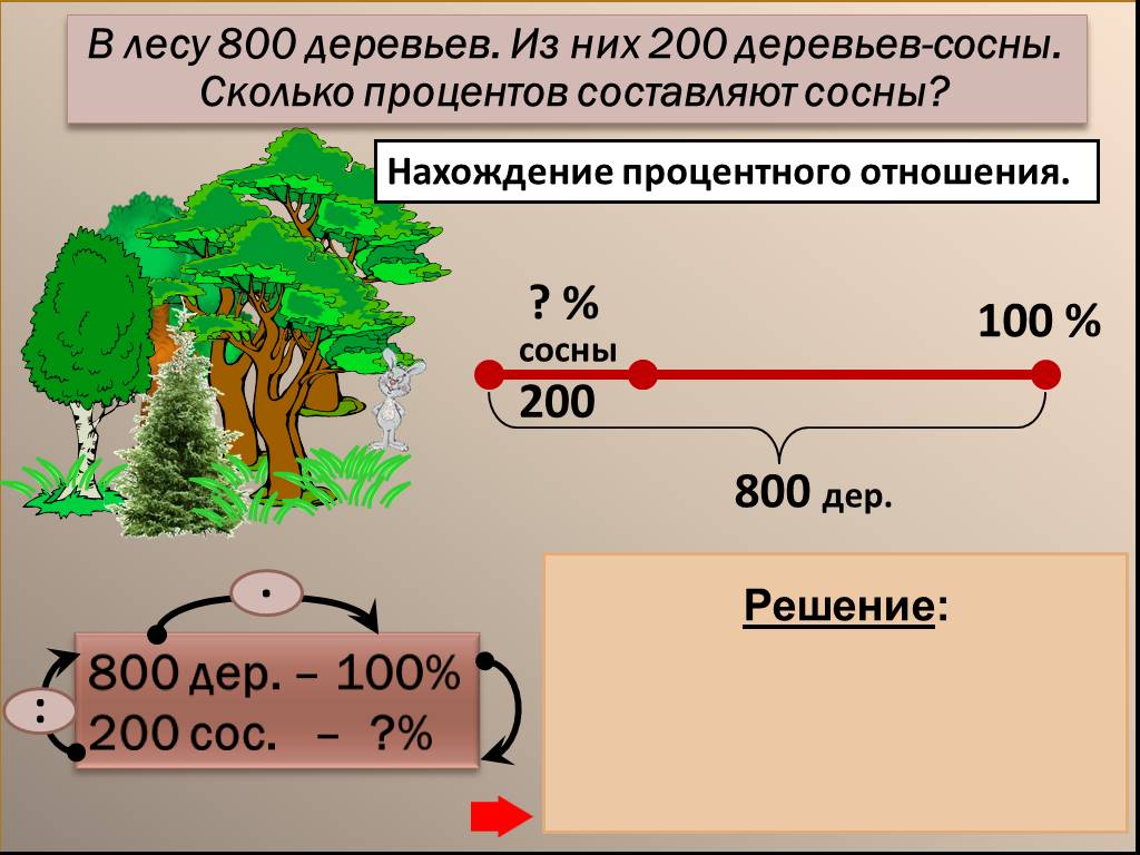 Составляет 100 составляет составляет. Отношения сосен в лесу. Деревья в процентном соотношении. Задача про лес и сосны. Сколько процентов сосен.