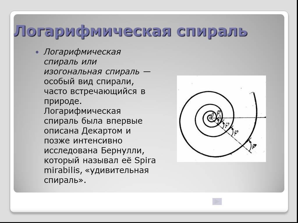 Логарифмическая спираль проект