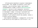 В России артиллерийское и морское образование, которое ввел Петр Первый для дворян, позже было заменено школой светских манер. Аристократы придерживались правил из книги «Юности честное зерцало», учились по ней обращаться с вилкой и ножом, на каком расстоянии снимать шляпу при встрече со знакомыми и