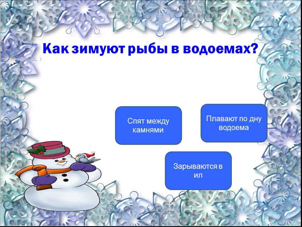 Изменения в природе зимой. Как зимуют рыбы. Презентация как рыбы зимуют. Как зимуют рыбы картинки. Как зимует.