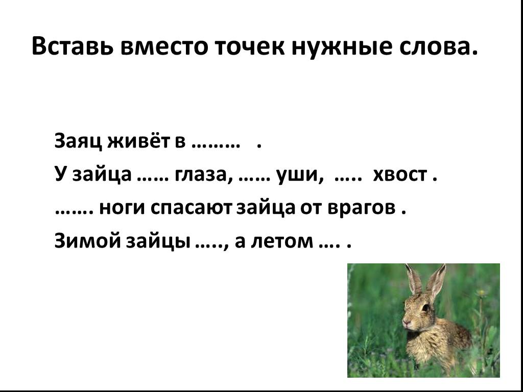 Заяц подобрать прилагательное. Текст про зайца. Текст описание про зайца. Заяц 2 класс. Заяц для презентации.