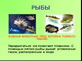 РЫБЫ. ВОДНЫЕ ЖИВОТНЫЕ, ТЕЛО КОТОРЫХ ПОКРЫТО ЧЕШУЁЙ. Передвигаться им помогают плавники. С помощью легких рыбы дышат углекислым газом, растворенным в воде.