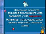 Отдельные свойства объектов окружающего мира вызывают у нас ощущения. Например, мы ощущаем запах цветка, вкус ягод, тепло или холод.