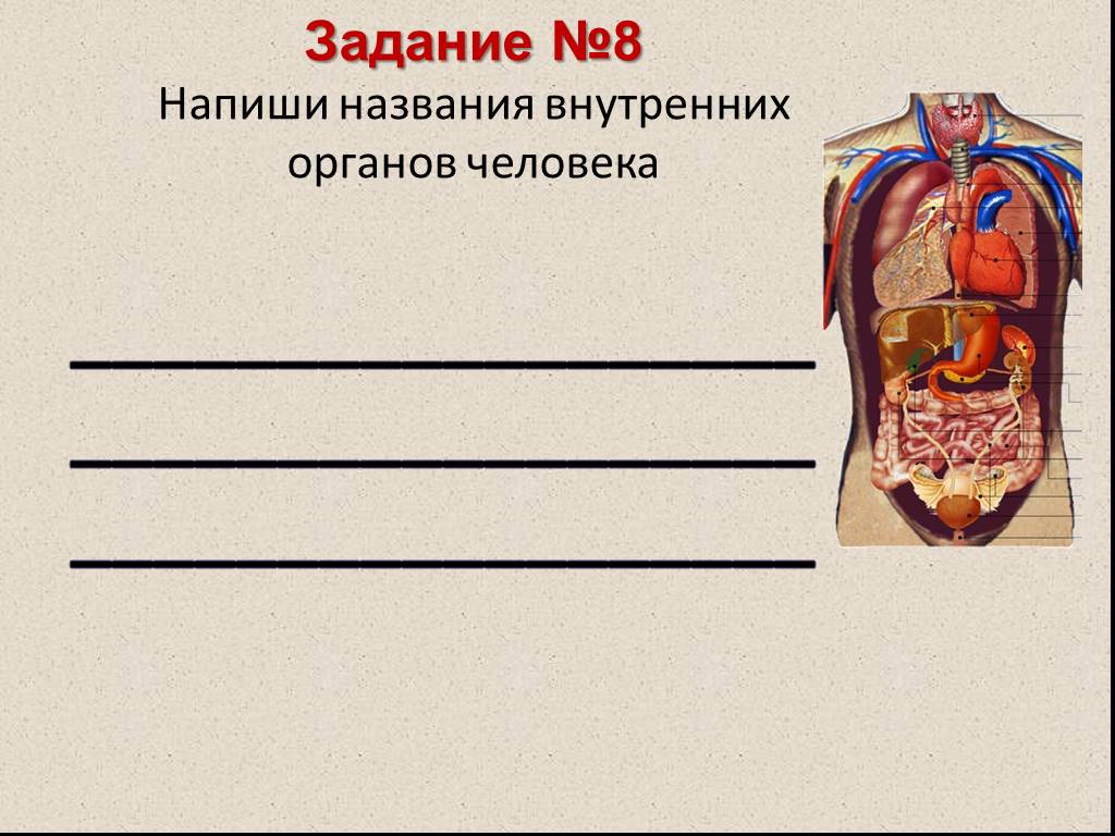 Конкурс органы. Напиши название внутренних органов человека. Прописать 2 внутренних органов. Рассмотрите рисунок напишите названия внутренних органов. Напиши названия внутренних органов человека рассмотри.