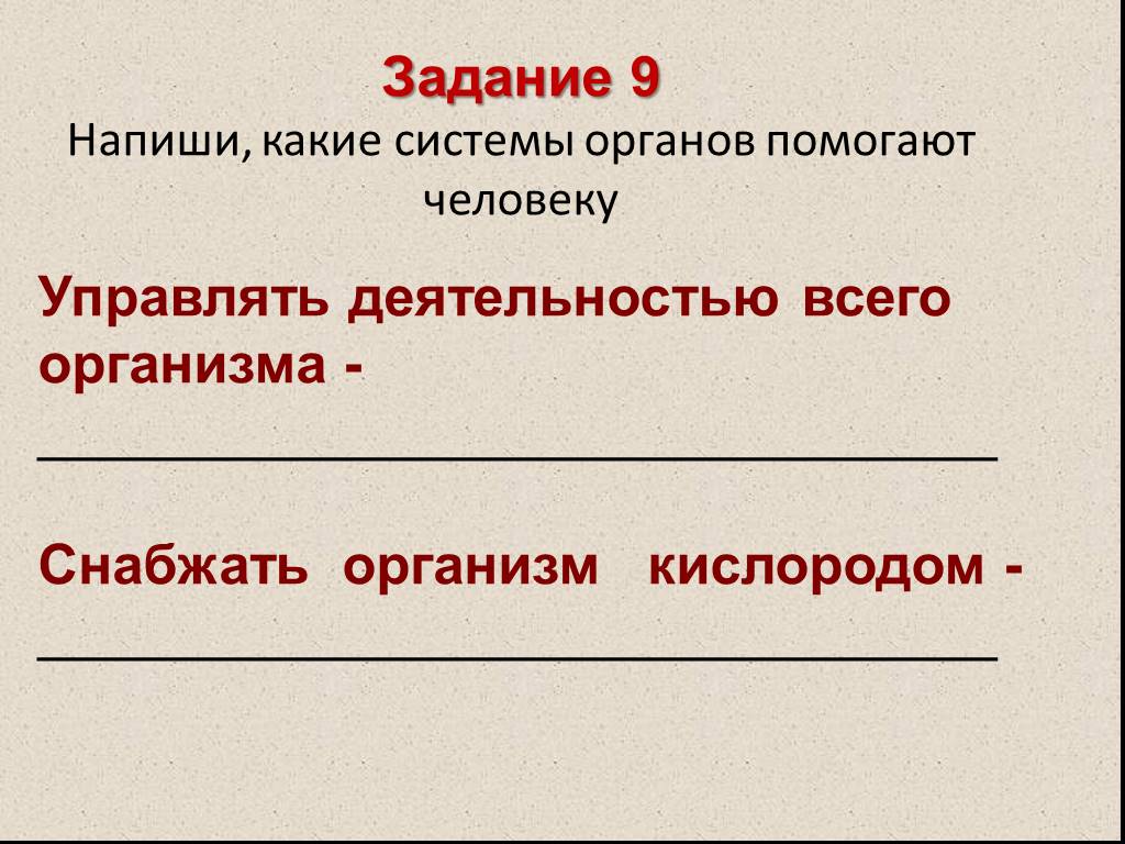 Напиши какие. Какая система управляет деятельностью организма. Система органов управляющая деятельностью всего организма. Какие системы органов помогают человеку. Какая система органов управляет всем организмом.