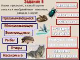 Задание 8 Укажи стрелками, к какой группе относятся изображённые животные, как они зимуют. Пресмыкающиеся Млекопитающие Земноводные Насекомые Птицы Рыбы Засыпают Застывают Охотятся В стадии куколки. Улетают в тёплые края. Зимуют там, где гнездятся