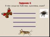 Задание 6 В чём сходство бабочки, кузнечика, мухи? ____________ ____________ ________________________