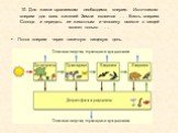 10. Для жизни организмам необходима энергия. Источником энергии для всех жителей Земли является … . Взять энергию Солнца и передать ее животным и человеку вместе с пищей может только … . Поток энергии через типичную пищевую цепь.