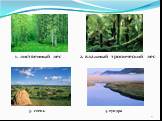 1. лиственный лес 2. влажный тропический лес. 3. степь 4. тундра