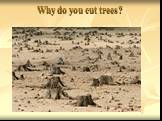 Why do you cut trees?