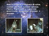 Всего в космосе побывали 48 собак, прежде чем туда полетел человек. Ракеты стартовали и с другими животными: кроликами, крысами и мышами.
