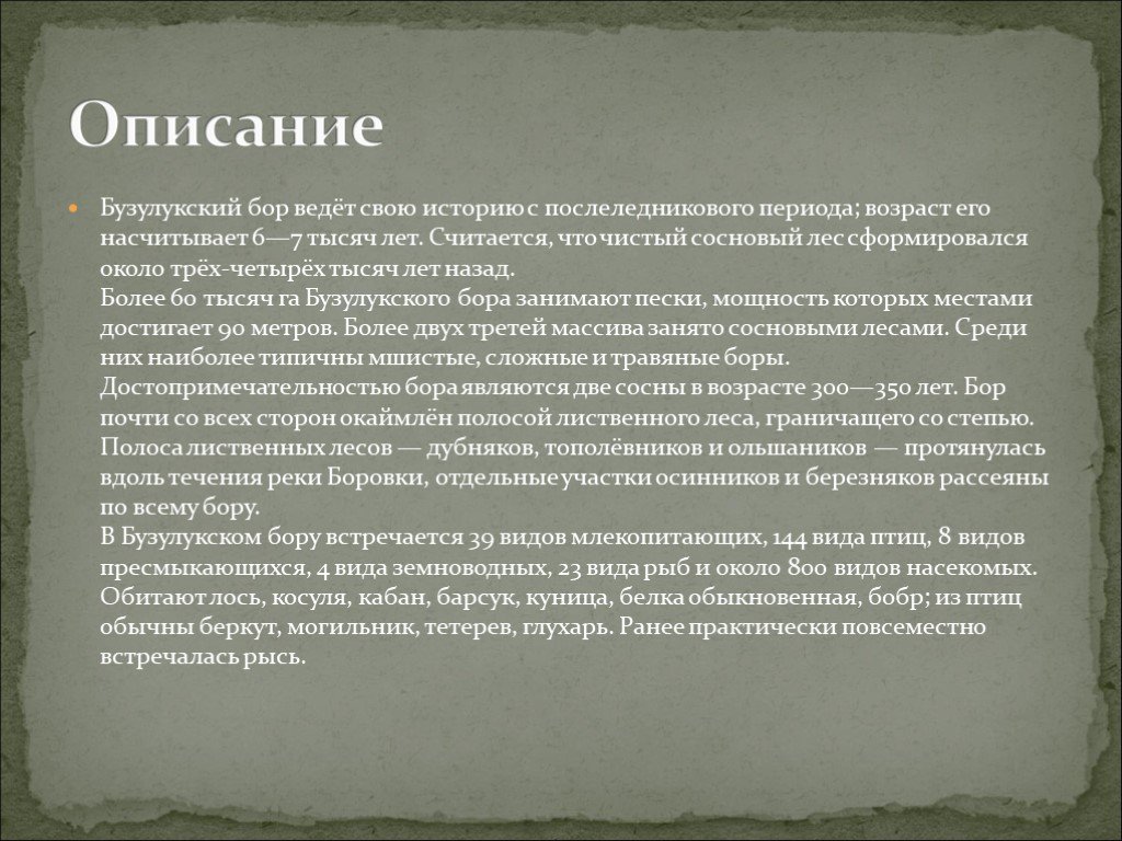 Рассказы бора. Бузулукский Бор описание. Бузулукский Бор сообщение. Бузулукский Бор доклад. Бузулукский Бор рассказ.