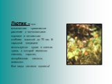 Лютик – это многолетнее травянистое растение с мочковатыми корнями и ветвистым стеблем высотой до 70 см. В народной медицине используется сухая и свежая трава, в которой имеются: гликозид, каротин, аскорбиновая кислота, анемонол. Все виды лютиков ядовиты!