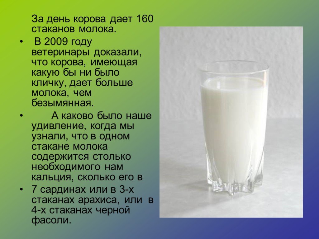 Молока ответ. 1 Стакан молока. Сколько корова дает молока в сутки. Что дает корова. Один стакан молока это.