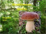 Шляпочные грибы Плодовое тело