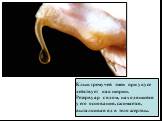 Клык гремучей змеи при укусе действует как шприц. Резервуар с ядом, находящийся у его основания, сжимается, выталкивая яд в тело жертвы.