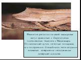 Немногие рептилии по своей маскировке могут сравниться с бороздчатым листохвостым гекконом с Мадагаскара. Он напоминает сучок не только по окраске, но и по строению. Способность этого создания оставаться совершенно неподвижным довершает сходство.