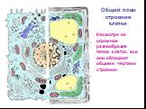 Общий план строения клетки. Несмотря на огромное разнообразие типов клеток, все они обладают общими чертами строения.