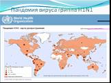 Пандемия вируса гриппа Н1N1