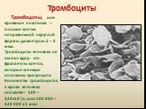 Тромбоциты. Тромбоциты, или кровяные пластинки – плоские клетки неправильной округлой формы диаметром 2 – 5 мкм. Тромбоциты человека не имеют ядер - это фрагменты клеток, которые меньше половины эритроцита. Количество тромбоцитов в крови человека составляет 180 – 320х10'/л, или 180 000 – 320 000 в 1