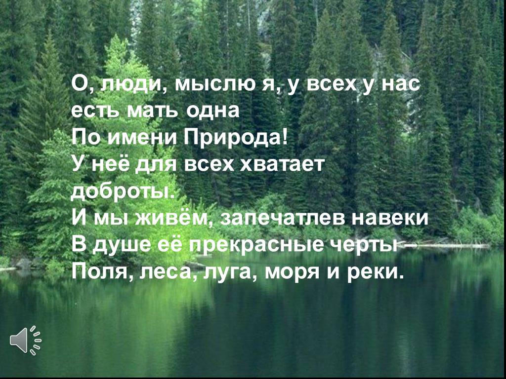 Человек который любит лес. Красивые цитаты про природу. Стих на тему природа. Красивые стихи про приду. Высказывания о природе.