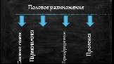 Половое размножение. Слияние гомет Партеногенез Прогенез Гермафродитизм