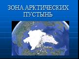 Природные зоны России Слайд: 8