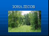 Природные зоны России Слайд: 10