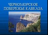 Природные зоны России Слайд: 13