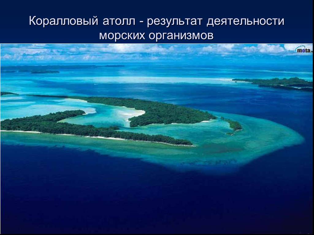 Водные части океана. Коралловый Атолл. Мировые острова. Часть суши со всех сторон окруженная водой. Острова мирового океана названия.