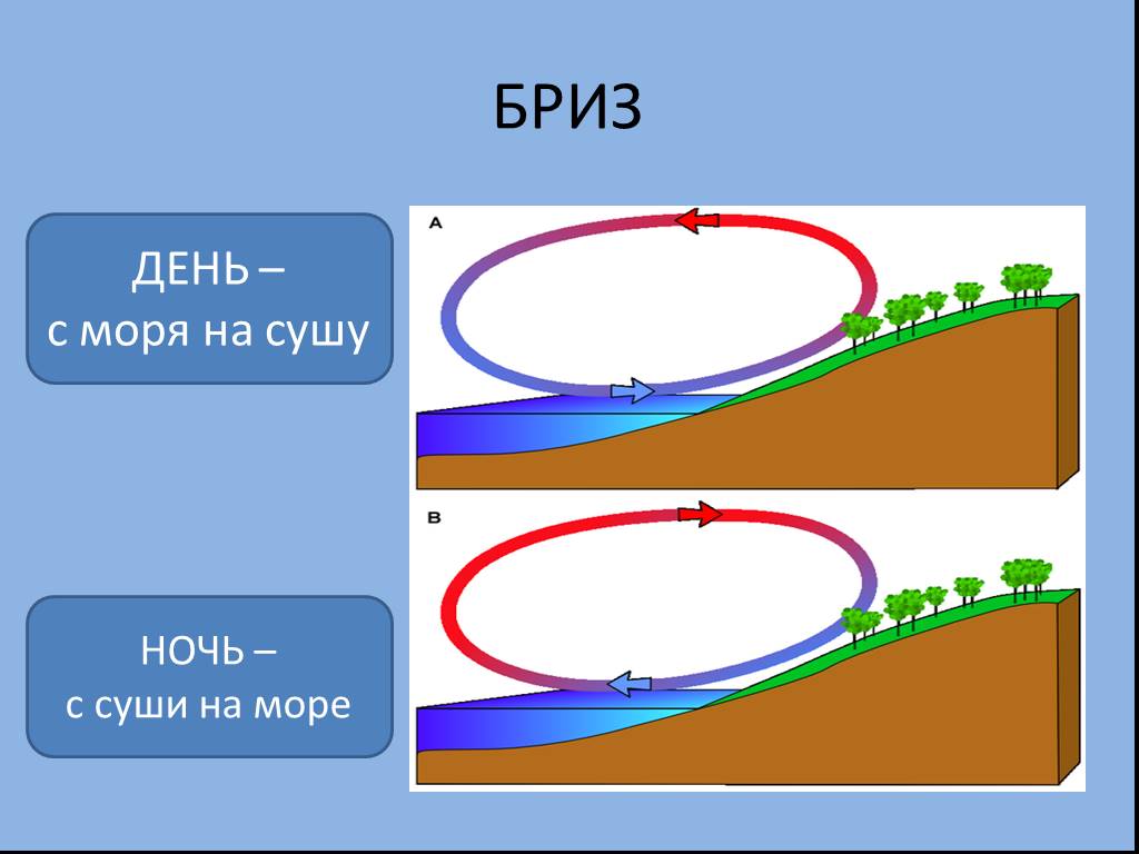 Схема бриза география 6 класс