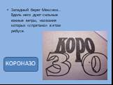 Западный берег Мексики… Вдоль него дуют сильные южные ветры, названия которых «спрятано» в этом ребусе. КОРОНАЗО