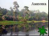 Амазонка