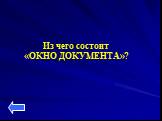 Из чего состоит «ОКНО ДОКУМЕНТА»?