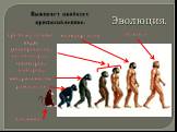 Эволюция. рамапитек австралопитек. промежуточные виды (гесперопитек, питекантроп, синантроп, эоантроп). неандерталец человек. Выживает наиболее приспособленное. обезьяна