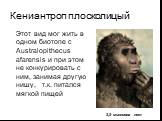 Кениантроп плосколицый. Этот вид мог жить в одном биотопе с Australopithecus afarensis и при этом не конкурировать с ним, занимая другую нишу, т.к. питался мягкой пищей. 3,5 миллиона лет