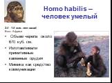Homo habilis – человек умелый. 2.4 - 1.5 млн. лет назад, Вост. Африка Объем черепа около 670 куб. см. Изготавливали примитивные каменные орудия Мимика как средство коммуникации