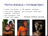 Homo erectus – питекантроп. головной мозг объемом до 1100 кубических сантиметров очень толстые надбровные дуги и вытянутый, низкий череп; подбородок отсутствовал; умел пользоваться огнем; пожирал себе подобных. От 1.6 млн. до 50 тыс лет назад