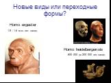 Новые виды или переходные формы? Homo ergaster Homo heidelbergensis. 800 000 до 200 000 лет назад. 1.9 - 1.6 млн. лет назад