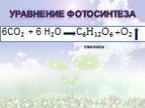Уравнение фотосинтеза. 6СО₂ + 6 Н₂О С₆Н₁₂О₆ +О₂. глюкоза