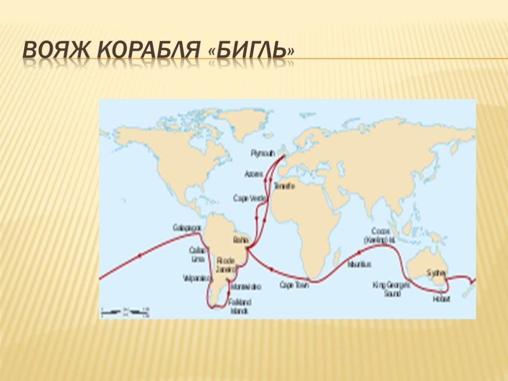 Карта кругосветного путешествия. Экспедиция Дарвина на корабле Бигль. Путь Чарльза Дарвина на корабле. Карта кругосветного путешествия Дарвина.