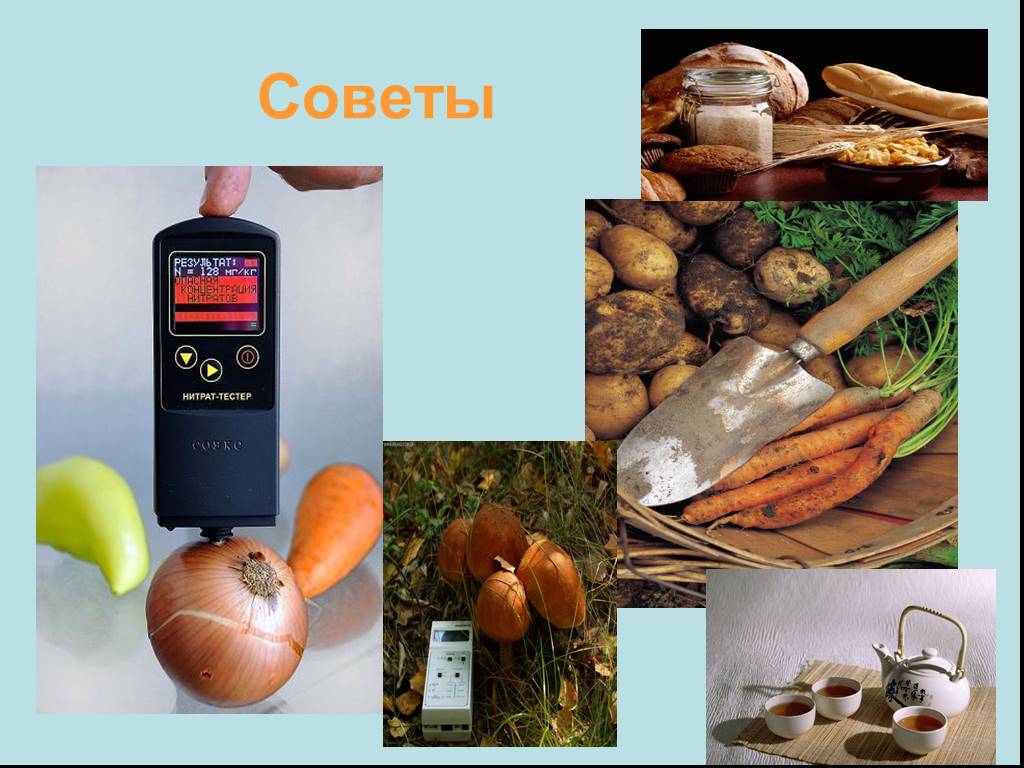 Радиация и жизнь. Продукты питания - радиопротекторы. Способность овощей накапливать радиацию. Презентация на тему радиопротекторы. Радиопротекторы витамины.