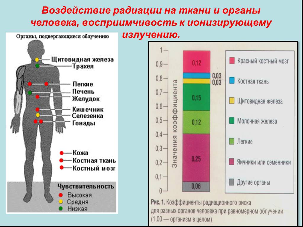 Радиация и человек проект