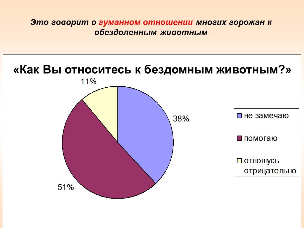 Отношение к горожанам. Статистика бездомных животных в мире. Бездомные животные диаграмма. Статистика брошенных животных. Бездомные животные статистика.